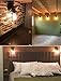 CLAXY Ecopower Vintage Style Industrial Oil Rubbed Bronze Mini Wire Cage Wall Sconce