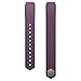 Fitbit Alta Classic Accessory Band, Plum Large