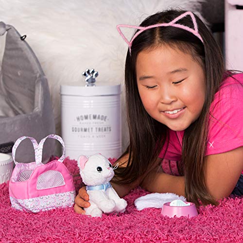 Adora Amazing Pets Misty The Grey Kitty - Juguete De 4.5 Pulgadas Para La Mayoría De Muñecas De 18 Pulgadas, Juego De 6 Piezas Incluye Gato De Juguete Y Accesorios (exclusivo