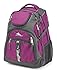 High Sierra Access Laptop Backpack, Berry Blast/Mercury, 20 x 15 x 9.5-Inch