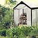 Abba Patio 8 x 10-Feet Large Walk in Fully Enclosed Lawn and Garden Greenhouse with Windows, White