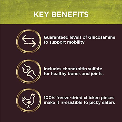 Wellness CORE Natural Grain Free Senior Dry Dog Food, 24 Pound Bag CORE