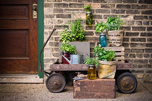 Indoor Herb Garden Starter Kit - Cocktail Inspired - Mint and Basil - 2 Self-Watering Herb Kits