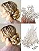 Fani 20pcs Elegant Hairpin Pearl Jewelry Flower Bridal Hair Pins Clips Wedding Decorative Hair Pins Headband Ornaments