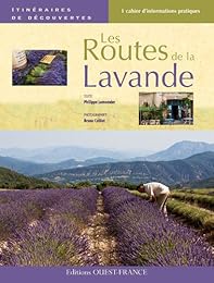 Les  routes de la lavande
