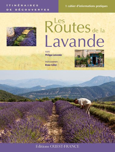 Les  routes de la lavande
