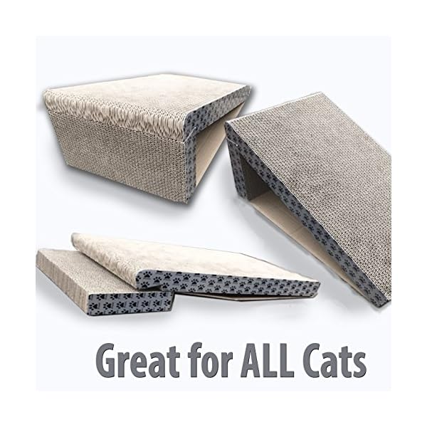 iPrimio Cat Scratcher Ramp - Foldable for Travel and Easy ...