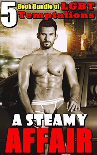 A Steamy Affair : (5 Book Bundle of LGBT Temptations)