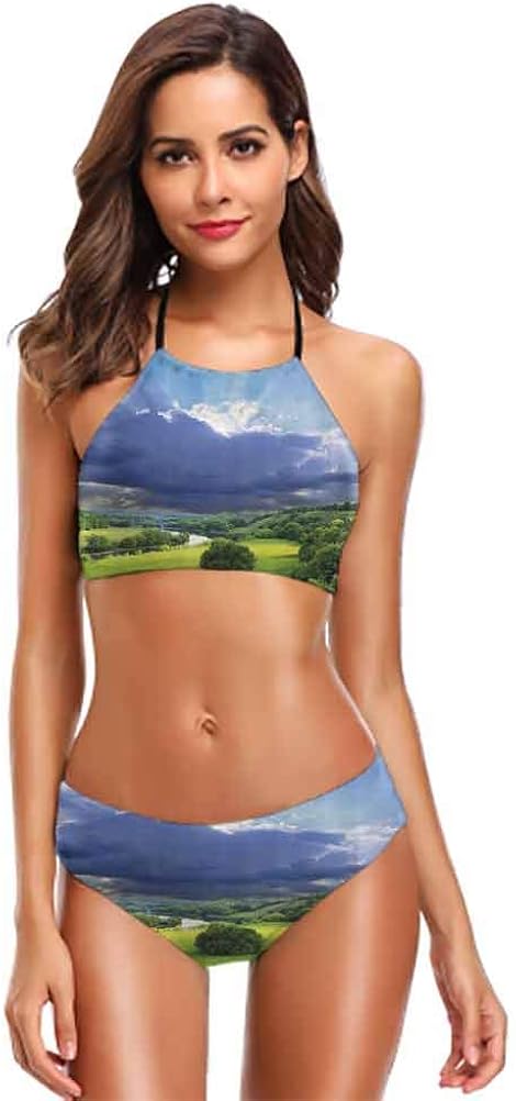 Sexy Bikinis Two Men Shaking Hands and Sharks Under Bridge Business Murky Illustration Beach Bikini Sexy