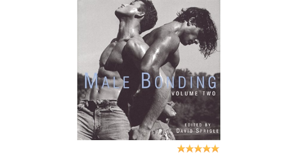 Male Bonding Vol 2 Anthologies Series Book 4 Part 2 David A Sprigle Jose Villarrubia 9781883923327 Amazon Com Books
