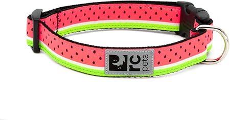 rc pets watermelon collar