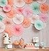 SANNIX Hanging Paper Fan Decorations Celebration Party Decoration Honeycomb Tissue Paper Fans for Birthday Wedding Events Accessories Backdrop Decor 6 PCs,12 inch,Peach