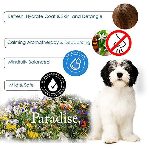 Best Shot Pet Scentament Spa Botanical Body Splash, Mandarin Jasmine Honey, 8 oz - Image 4