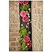 2 Pack - Oasis Midnight Fresh Floral Foam MaxLife Standard Brick