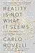 Reality Is Not What It Seems: The Journey to Quantum Gravity - Book by Carlo Rovelli