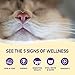 Wellness Kittles Crunchy Natural Grain Free Cat Treats, Salmon & Cranberries Recipe, All Life Stages, 6-Ounce Bag