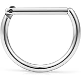 Ruifan 316L Stainless Steel D Shaped Hinged Seamless Segment Hoop Septum Clicker Ring Lip Helix Tragus Cartilage Earrings Nose Rings Pirecing 16g 10mm