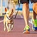 YISCOR Shock Collar for Dogs, Upgraded Dog Training Collars, Remote Waterproof and Rechargable with Shock, Vibration, Beep, and Light,Electric for Small and Large Dogs 1000Ft Range