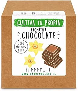 Garden Pocket - Kit Cultivo AROMÁTICA Chocolate: Amazon.es: Jardín