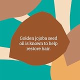 Faith In Nature Jojoba Shampoo 5L Refill Dry Hair Scalp Vegan SLS Free view 6
