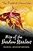 The Firebird Chronicles: Rise of the Shadow Stealers by Daniel Ingram-Brown