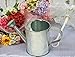 Package of 4 Galvanized Metal Watering Cans