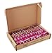 Wickedly Prime Fruit & Nut Bar, Cashews & Cranberry, Gluten Free, Kosher, 12 Count (Pack of 1)