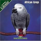 African Greys 2007 Wall Calendar by 