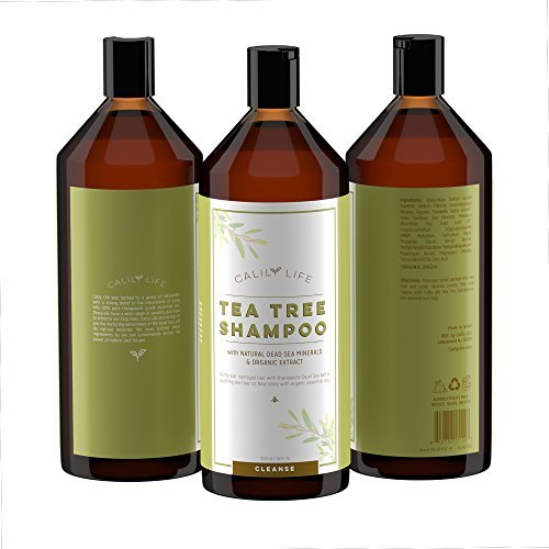 Calily Life Organic Tea Tree Shampoo + Conditioner with Dead Sea Minerals, Duo Set, 33.8/30.6 fl Oz  Concentrated Extra-strength Formula Removes Impurities, Refreshes, Softens and Invigorates