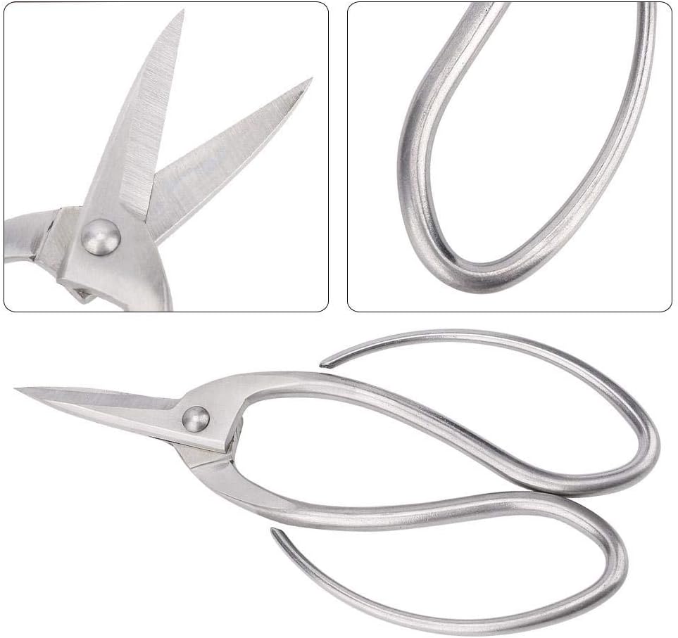 7.6 inch Stainless Steel Pruning Scissors, Garden Shears for Gardening Flower Arrangement - Image 5
