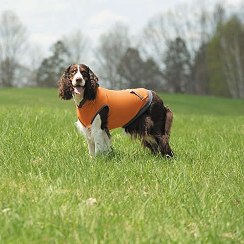 Insect Shield Insect Repellant Lightweight Hoodie for Protecting Dogs from Fleas, Ticks, Mosquitoes & More