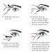 Upgrade Dual Magnetic False Eyelashes, 0.2mm Ultra Thin Fake Mink Eyelashes for Natural Look Reusable Fake Lashes (2 Pairs 8 Pcs)
