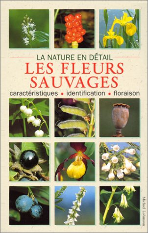 Les  fleurs sauvages