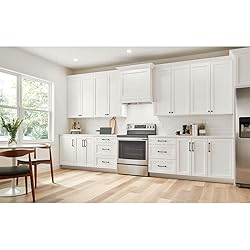 Broan-NuTone PM300SS Custom Power Pack Range Hood