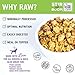I and love and you Stir & Boom Dehydrated Freeze Dried Raw Dog Food, Turkey, 5.5-Pound Bag