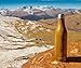 MIRA Vacuum Insulated Stainless Steel Water Bottle | Leak-proof Double Walled Cola Shape Sports Water Bottle | No Sweating, Keeps Your Drink Cold 24 hours or Hot 12 hours | 25 Oz