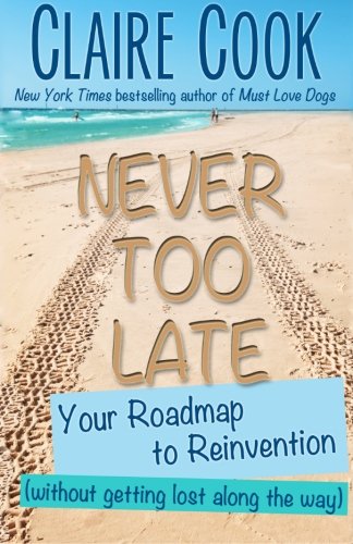 Never Too Late: Your Roadmap to Reinvention (without getting lost along the way)