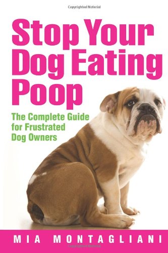 what can you do to stop your dog from eating poop
