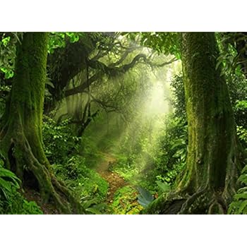 Amazon.com : Leowefowa 10X8FT Gloomy Jungle Forest