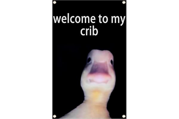 2x3 Ft Welcome to My Crib Flag Funny Flags Double Printed Funny Poster Wall Flag with 4 Brass Grommets for Dormitory Room Hom