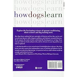 How Dogs Learn