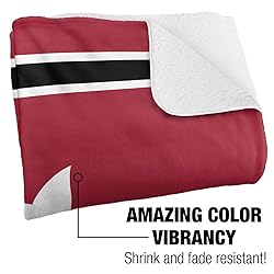 Bates College Blanket, 60"x80" Primary Logo Stripes