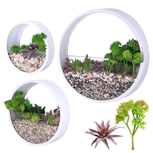 Modern Indoor Succulent Planter Metal Iron Circle Round Wall Hanging Planter (Pack of 3, White)