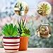 ZALALOVA 16Packs Artificial Succulent Plants，Fake Succulents Assorted Faux Succulent in Different Green Textured Faux Succulent Pick Hanging String of Pearls Plant for Arrangement Home Decoration