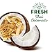 Dang Toasted Coconut Chips | Original | 12 Pack | Vegan, Gluten Free, Non GMO, Healthy Snacks Made with Whole Foods | 1.43 Oz Resealable Bags