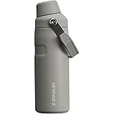 STANLEY IceFlow Fast Flow Bottle, 16 oz, Ash | Angled Spout Lid | Lightweight and Leakproof for Travel and Sports | Easy Carry Handle | Insulated Stainless Steel | BPA-Free
