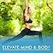 OMG Preworkout & Organic Caffeine and Creatine for Men and Women | Electrolytes and Stevia | Boost Energy, Stamina, Mental Clarity and Focus