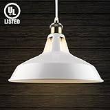 B2ocled Metal Pendant Lighting 1 Light Edison industrial Hanging Lamp for Homes/