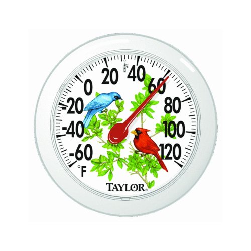 Taylor Thermometer Indoor/Outdoor -60 To 120 Deg F 6