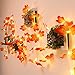 Fall Decor-5 Pack Total 50Ft 100LED Fall Garland Lights Fall Decorations for Home,Battery Operated&Waterproof with Enlarged Maple Leaves Garland for Thanksgiving Autumn Halloween Indoor Outdoor Decor